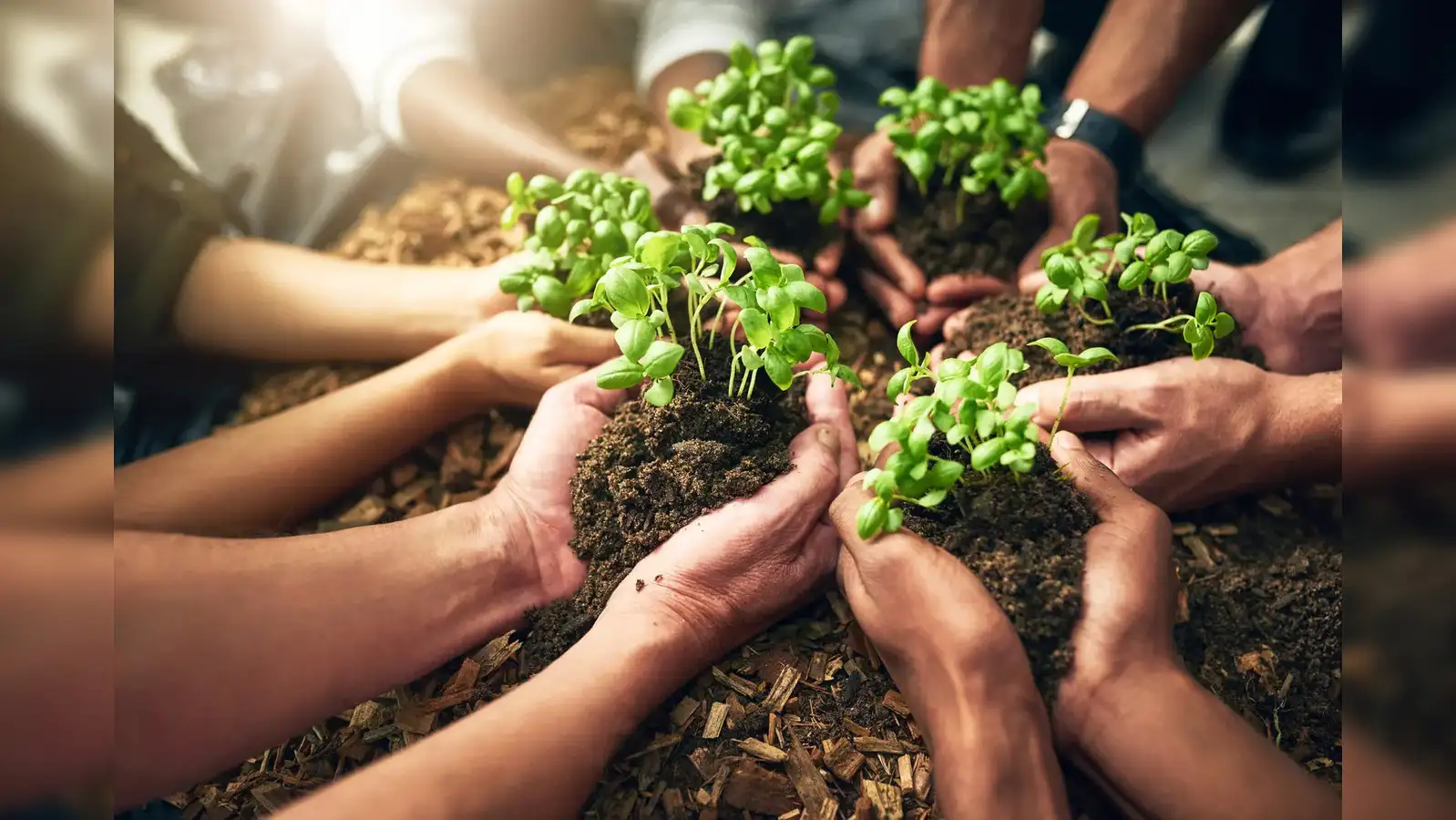 Water, waste & will: How India’s MSMEs can lead the sustainability revolution