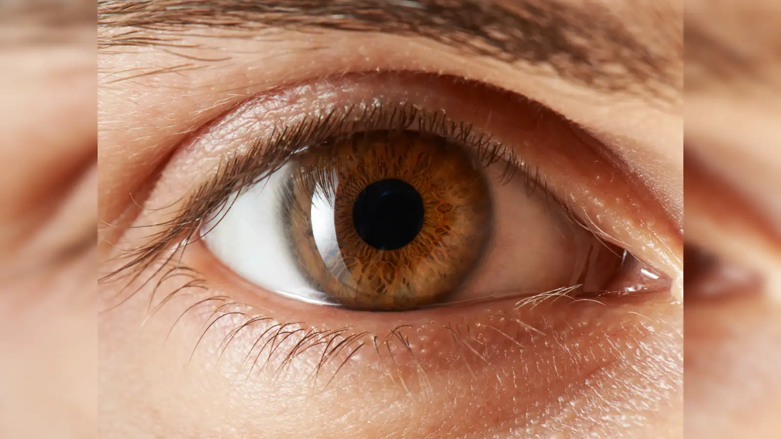 Scientists unlock a colour humans have never seen before: How a laser made  five people glimpse a future beyond normal vision - The Economic Times