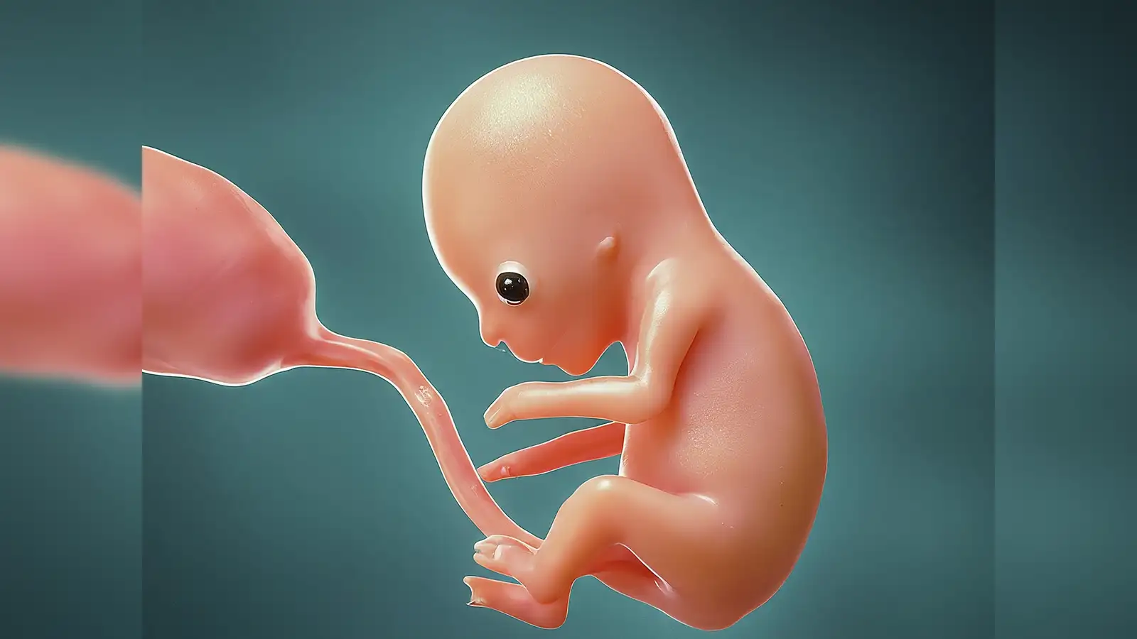 An Ohio couple welcomes a baby boy from a nearly 31-year-old frozen embryo