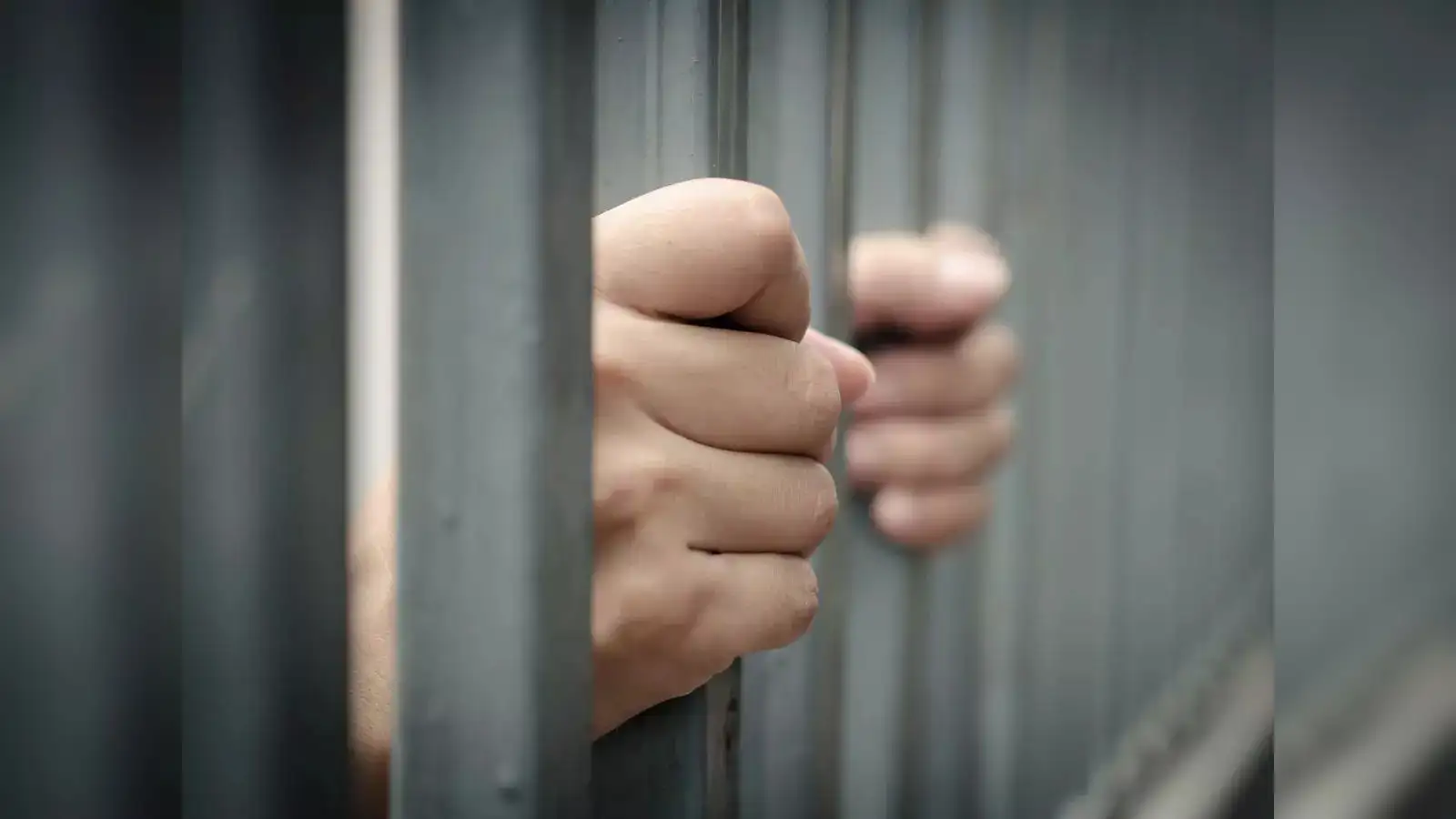 US border patrol agents arrest 30 Indians living illegally in the country -  The Economic Times