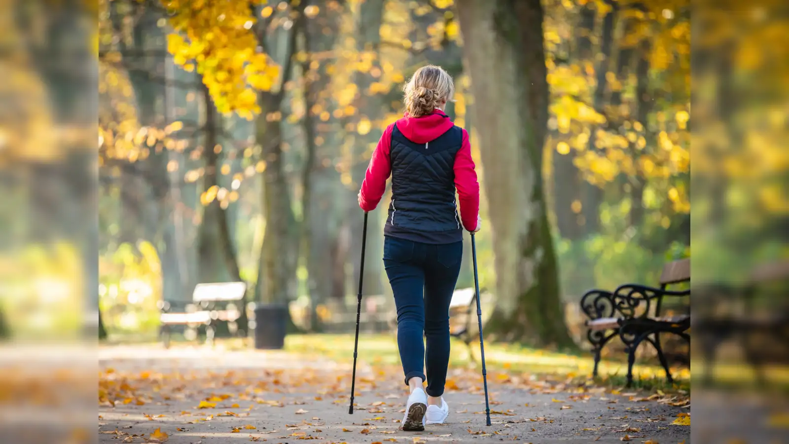 What is Nordic Walking? The Harvard-backed fitness trend that can shrink  waistline and build strength - The Economic Times