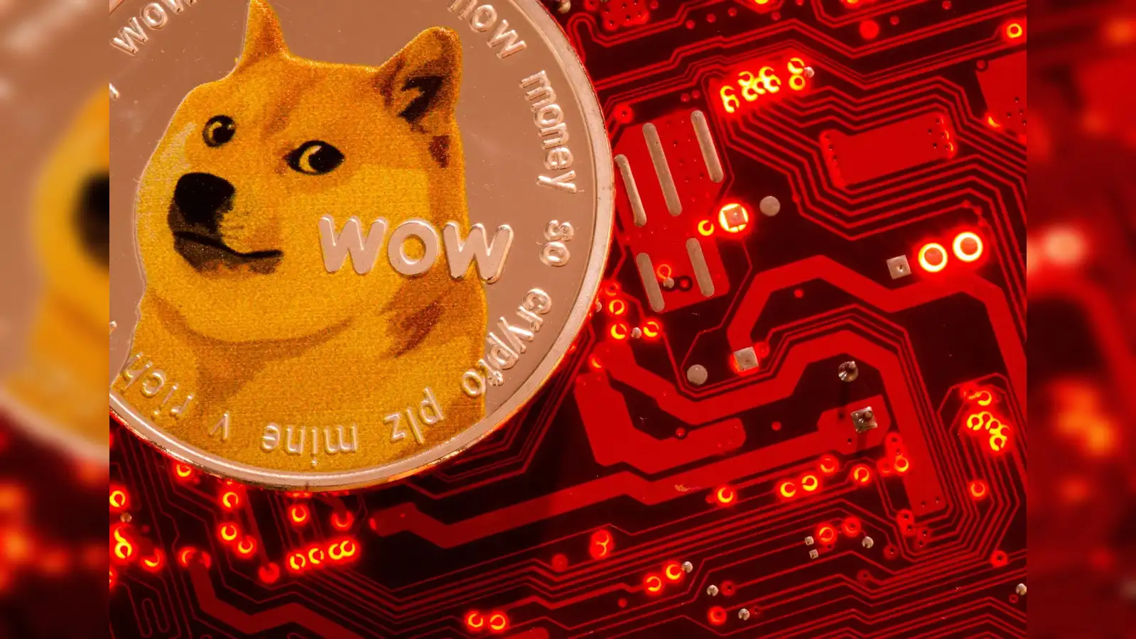 dogecoin: Beware! Your love for Elon Musk and Dogecoin may land you in a  scam - The Economic Times