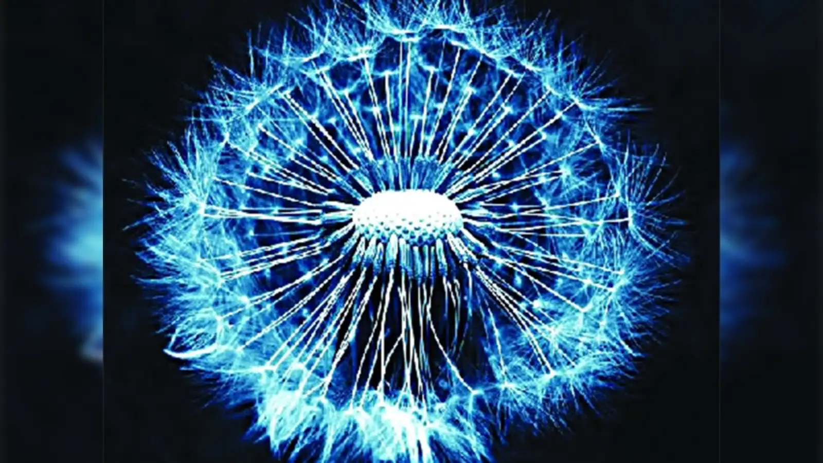 Stem cell: Government imposes restrictions on stem cell banking, therapy to  curb 