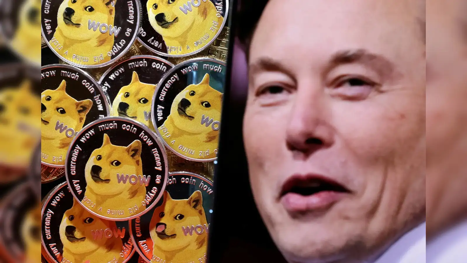 Doge Insurance Elon Musk: Revolutionizing Crypto Coverage