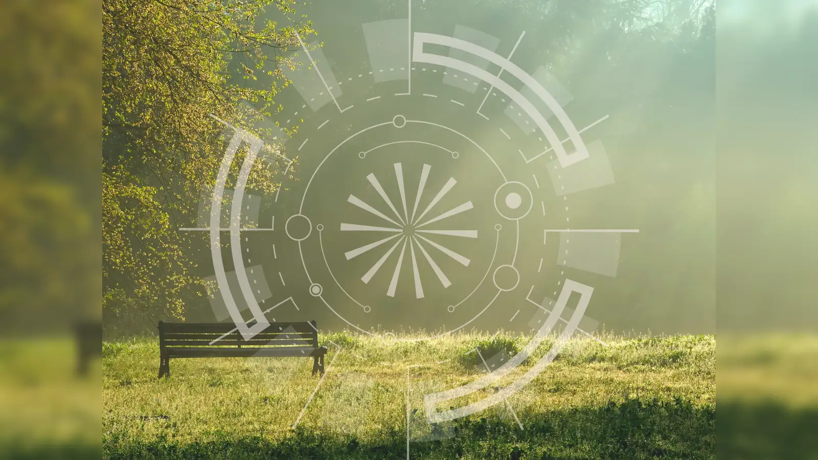 2025 crypto rally: Three underrated meme coins priced under $0.05 - The  Economic Times