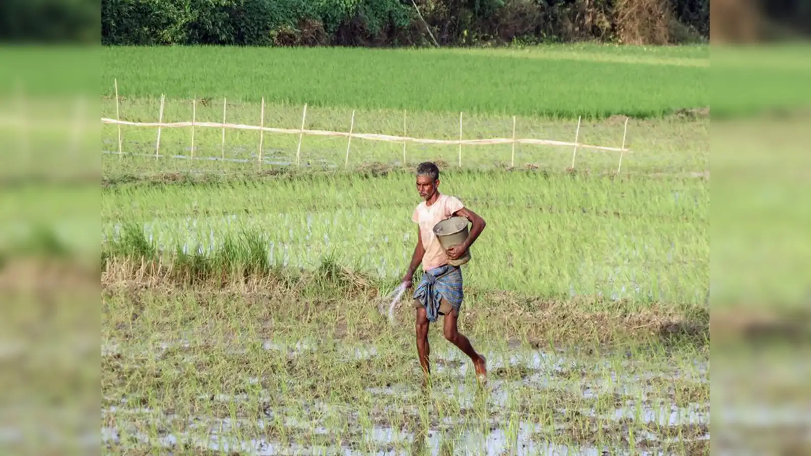 Indian agricultural sector under threat by trifecta of below-Normal Monsoon, El Nino, and West Asia war: ICRA