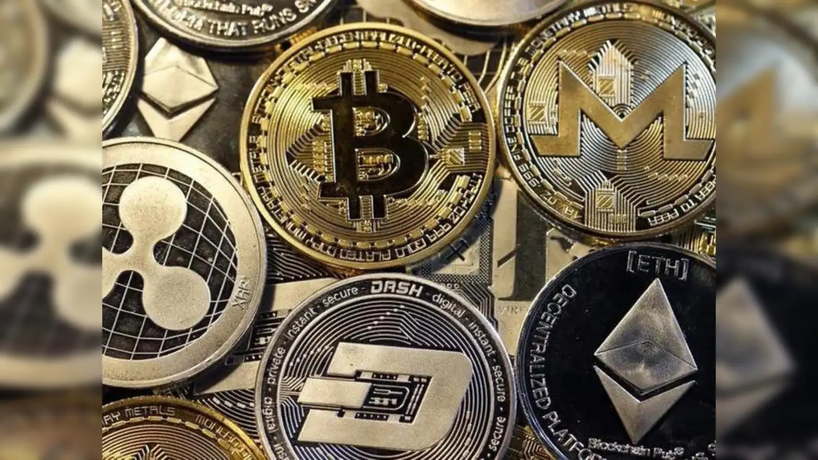 Navigating Cryptocurrency Volatility: Exploring the Risks and Rewards of  Current Market Leaders - The Economic Times