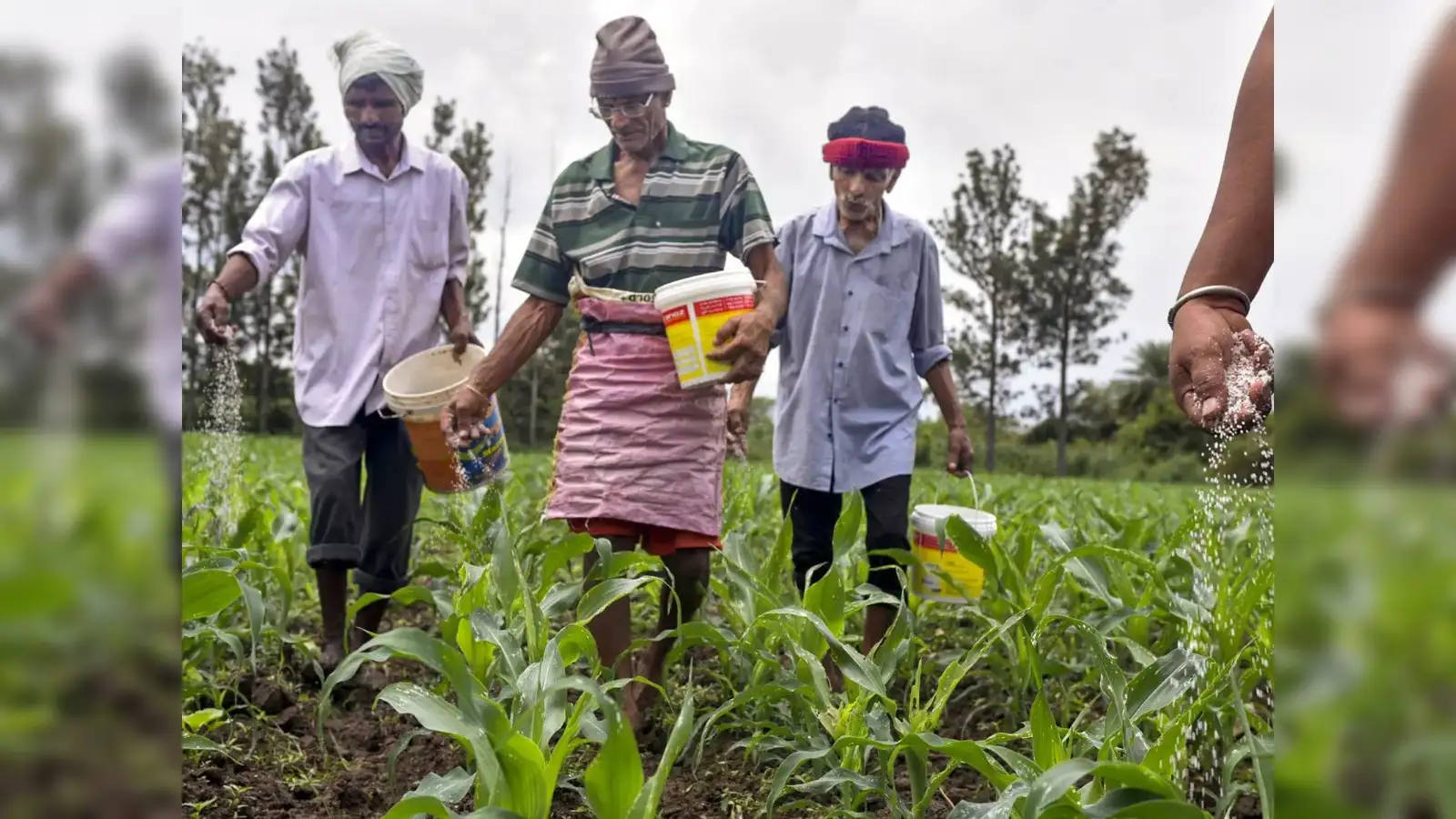India to purchase fertilizer at nearly double pre-war price - The Economic Times