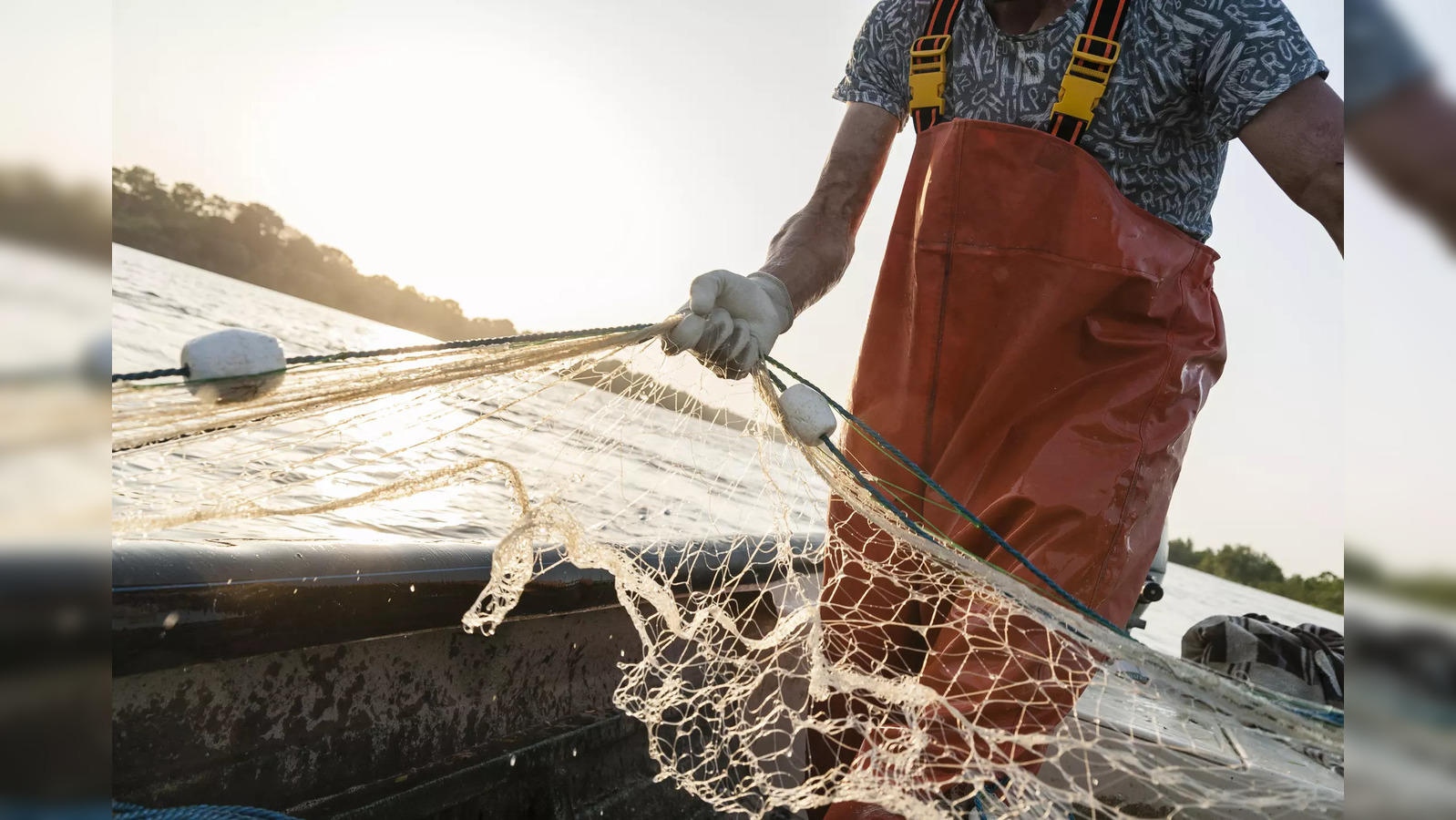 Overnight billionaire! Karachi fisherman nets fortune with rare medicinal  fish - The Economic Times