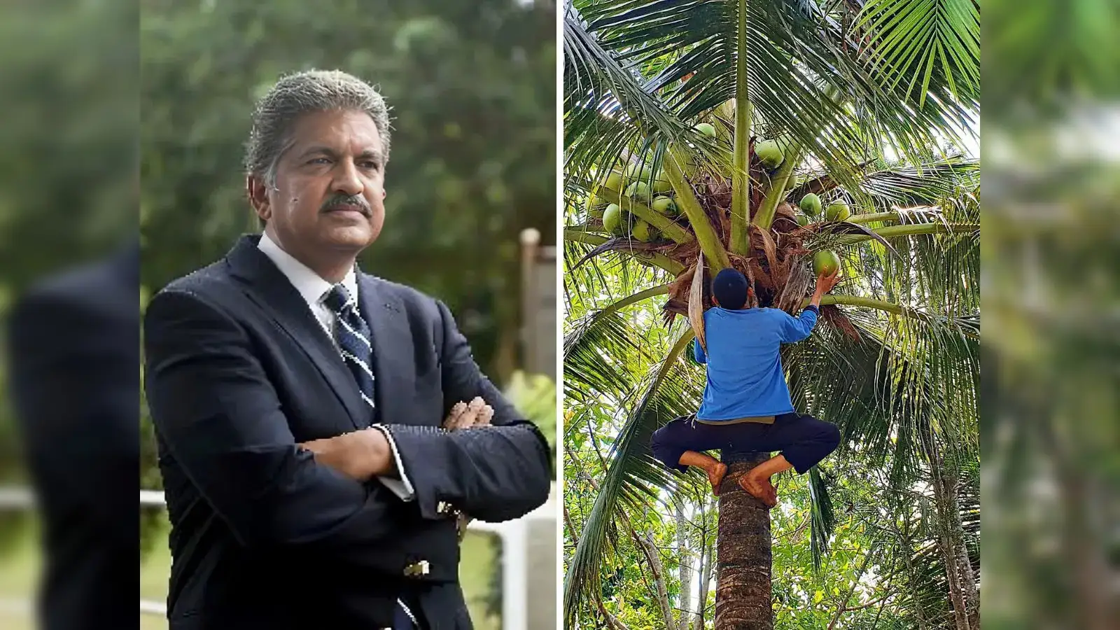Book coconut harvester like a cab? Anand Mahindra says India is digitising even its most traditional jobs