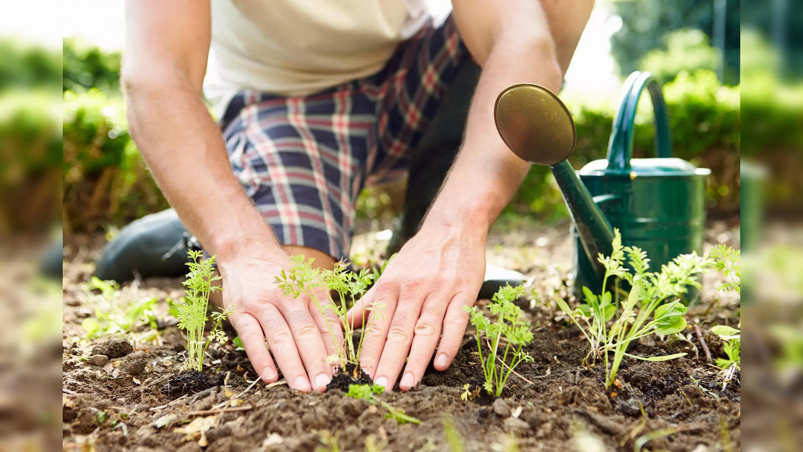 Gardening Tools For Beginners