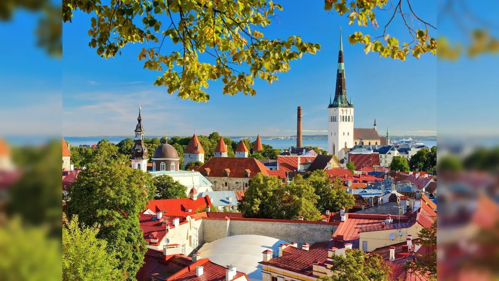 Estonia to be gateway to northern Europe for India, says Indian envoy