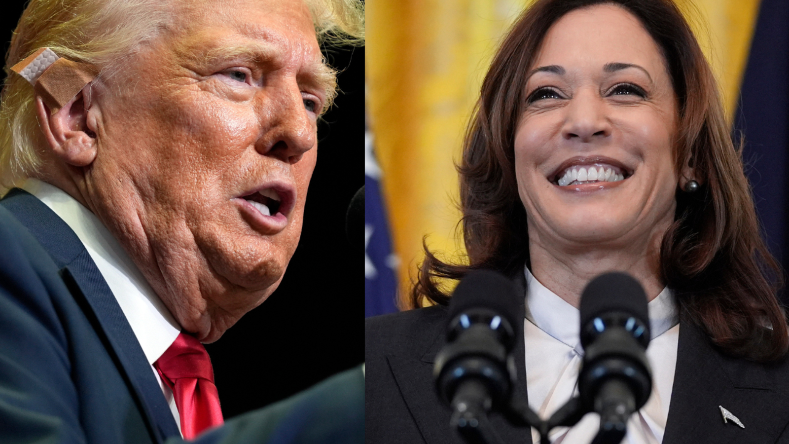 kamala harris US Presidential Election 2024 Kamala Harris, Donald