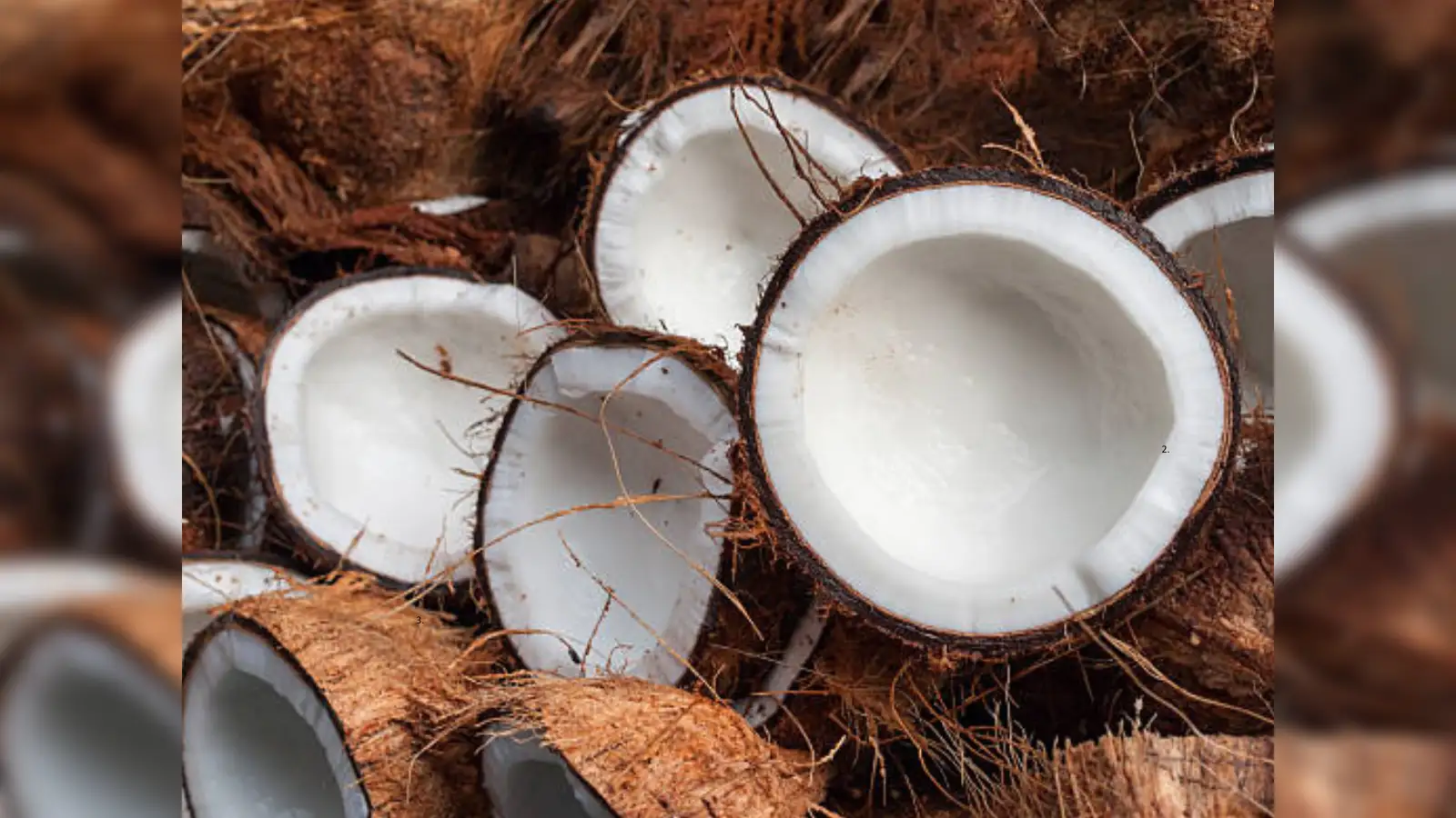 Kerala's culinary identity in crisis as major coconut crunch throws cooking  out of gear - The Economic Times
