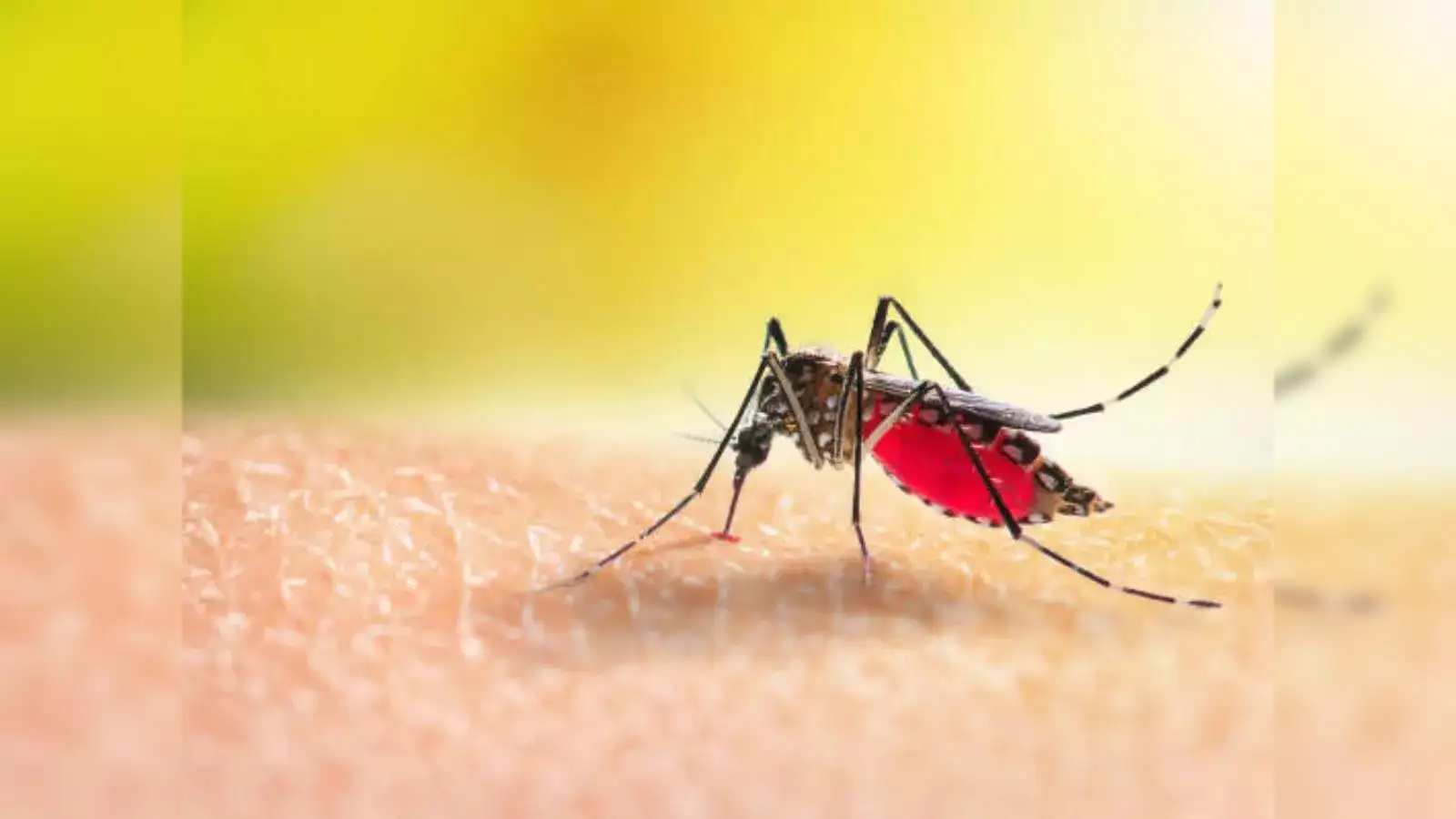 Monsoon Maladies: Malaria is more prevalent in the rainy season, 5 ways to  stay safe - The Economic Times