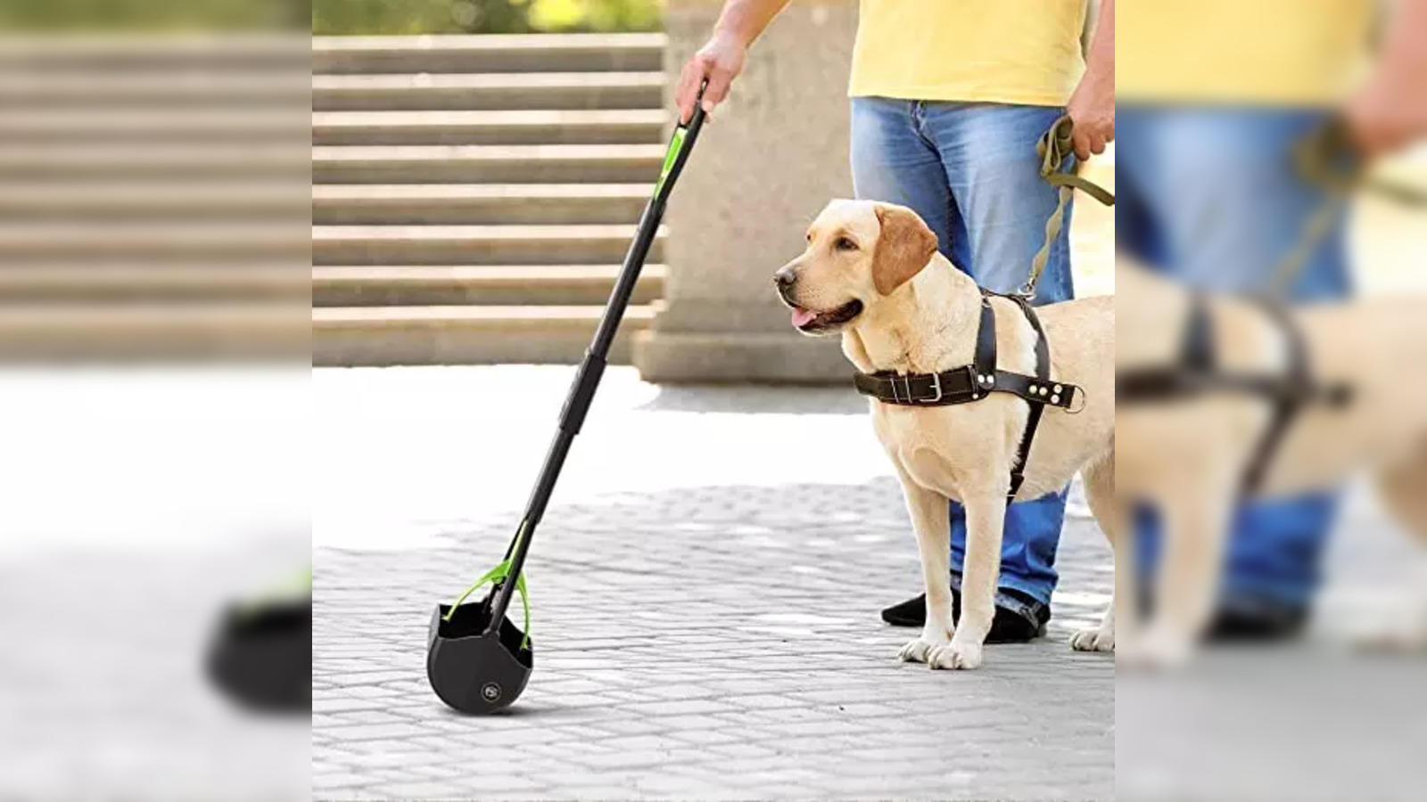 The 10 Best Dog Poop Bag Dispensers of 2023