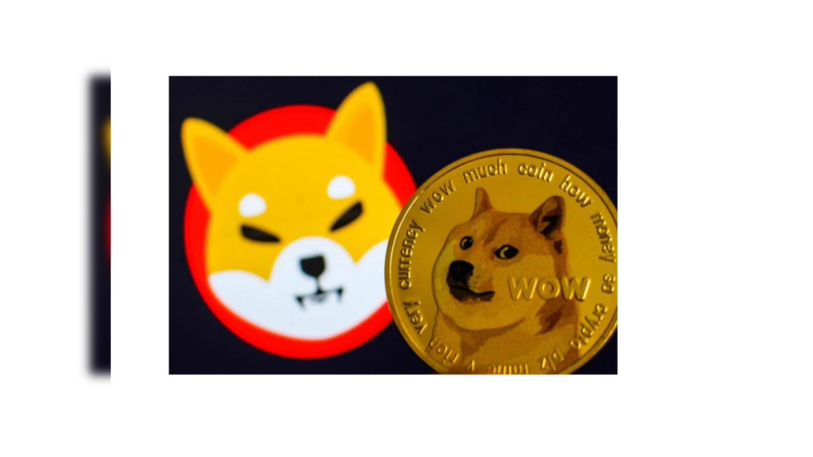 How to Buy Shiba Inu Coin in Canada Beginners Guide The