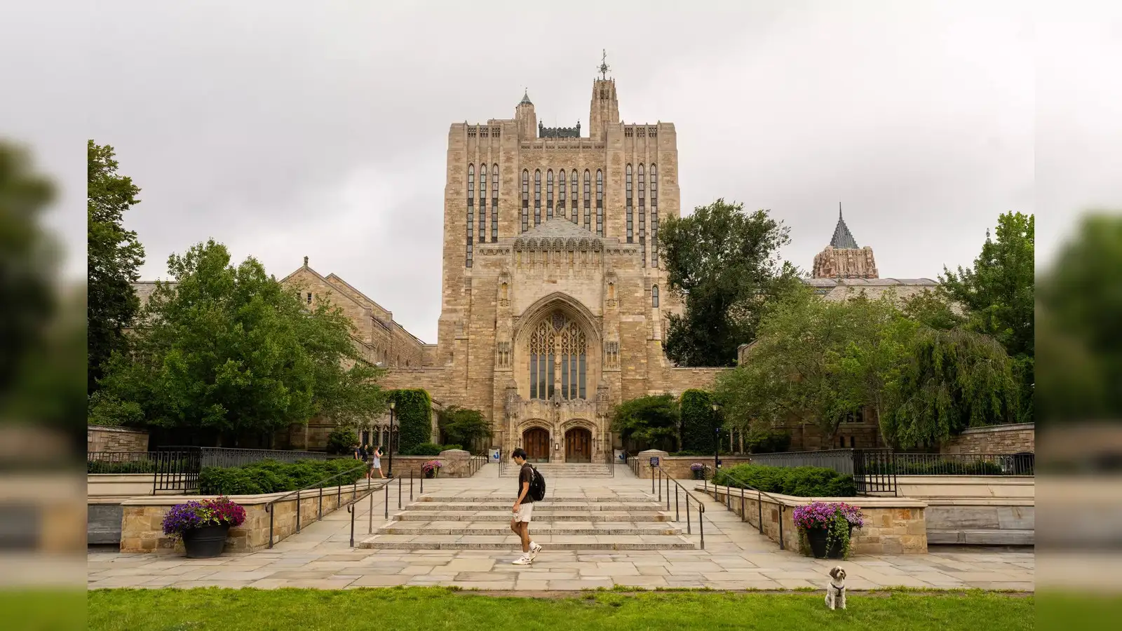 Yale University tuition: Yale wipes out $90,000 tuition for many families  in major expansion of free college aid - The Economic Times
