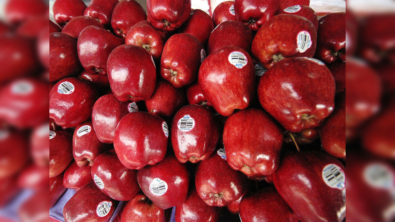 Red Delicious - Washington Apples