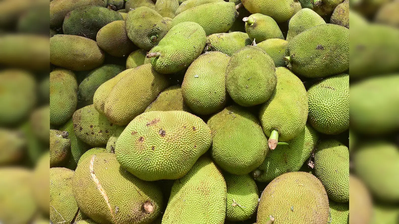 Dubai: Commercial consignment of jackfruit and green chilli exported to  Dubai from Assam's Dhubri - The Economic Times