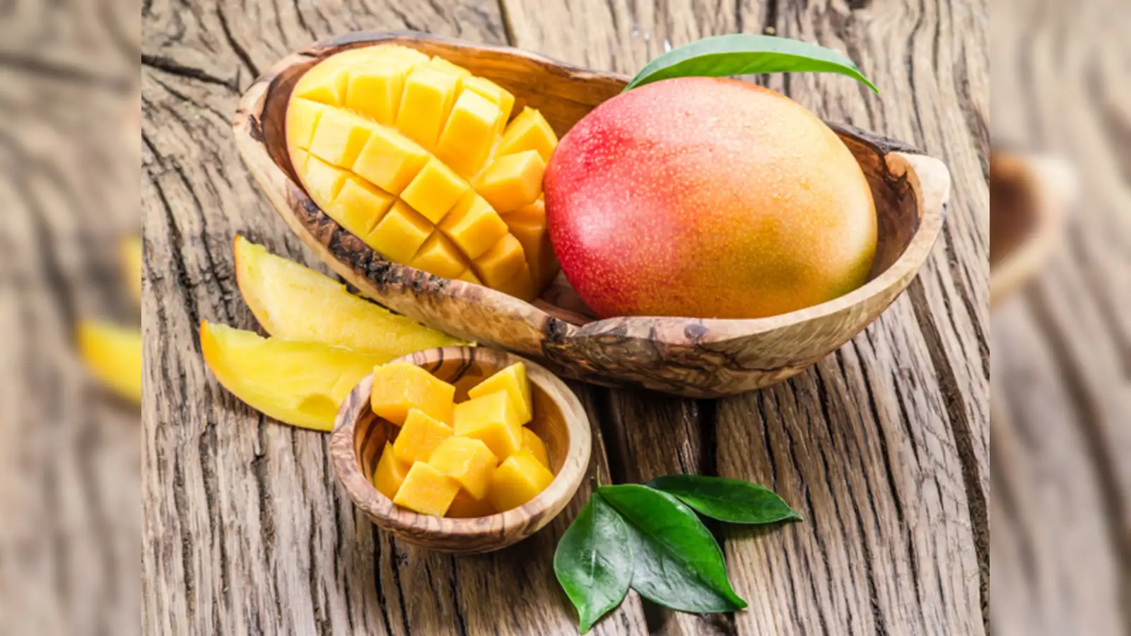 Moden Mango Tre