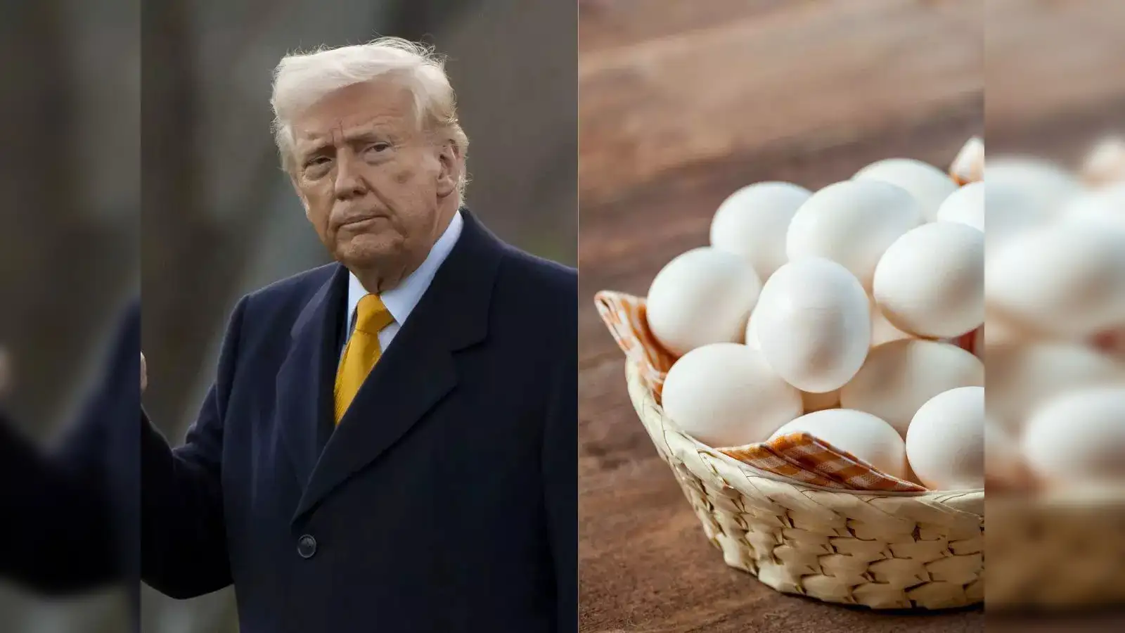trump on us egg prices: 'Eggs are way down', says Trump amid historic high  prices. Netizens say 'Bro can't stop lying' - The Economic Times