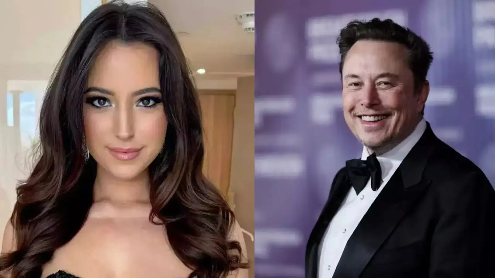 elon musk texts to ashley st. clair: Elon Musks explosive texts to baby  mama Ashley St. Clair leaked; heres what he said amid child drama - The  Economic Times