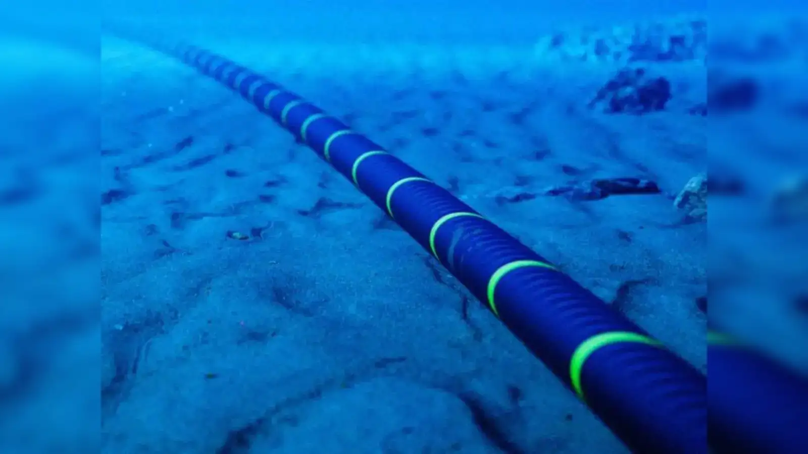 Undersea Cables Cut in Red Sea Disrupt Internet
