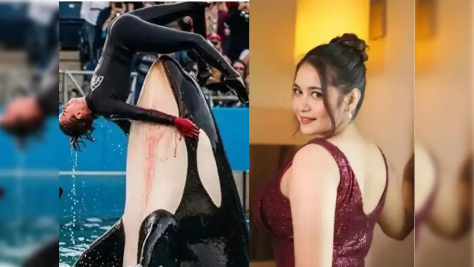 The thrill of the next big leak