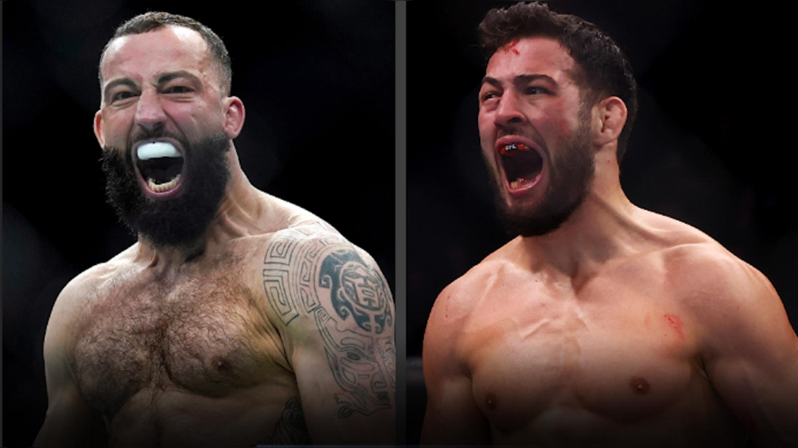 Watch ufc fight 2025 night live stream