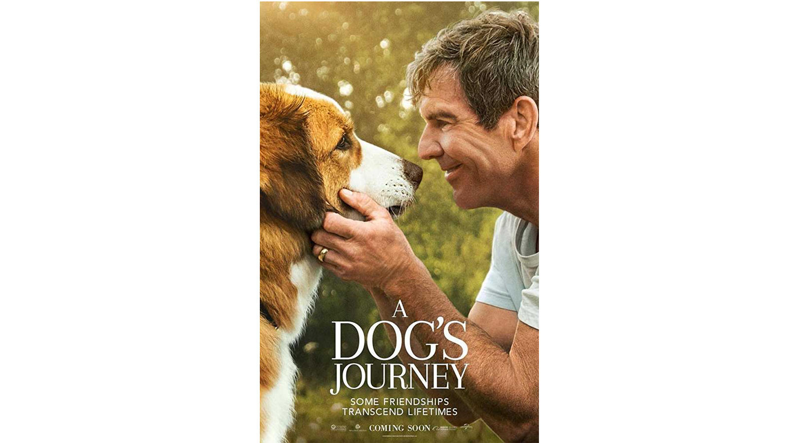 A dog s journey A dog s journey review The movie is high on