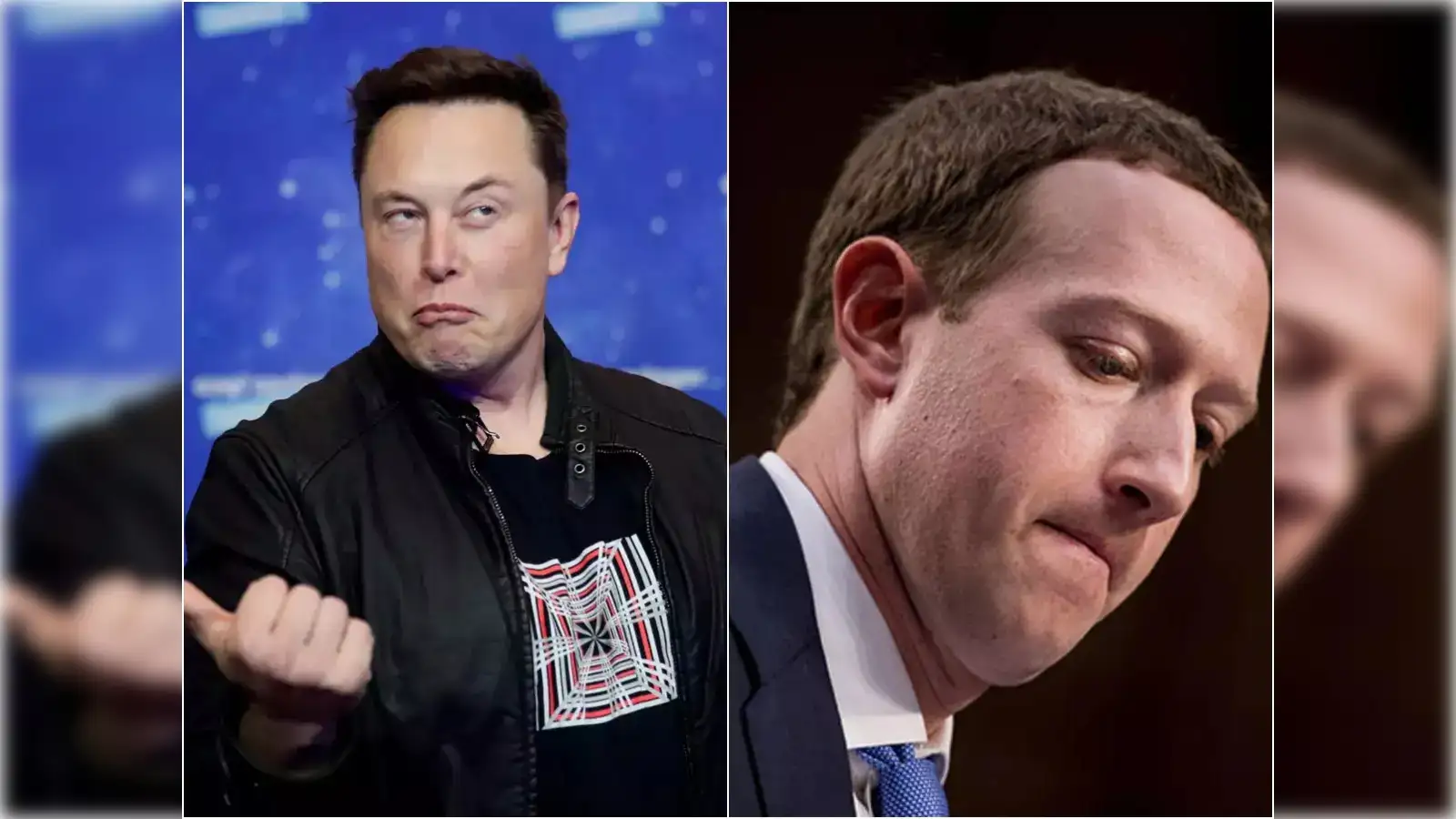 cage fight / Elon Musk Vs. Mark Zuckerberg : r/TheRandomest♌