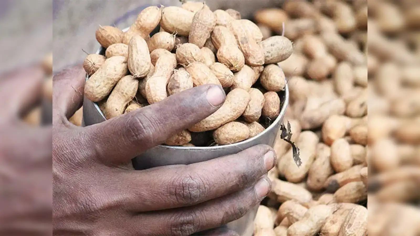 Groundnut Crop In India