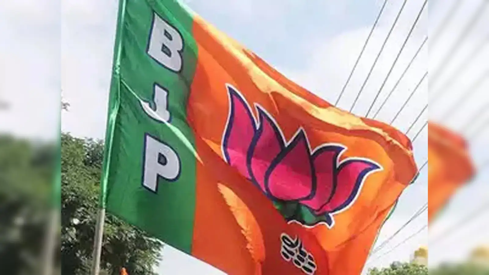 Bjp Name Logo 735x735