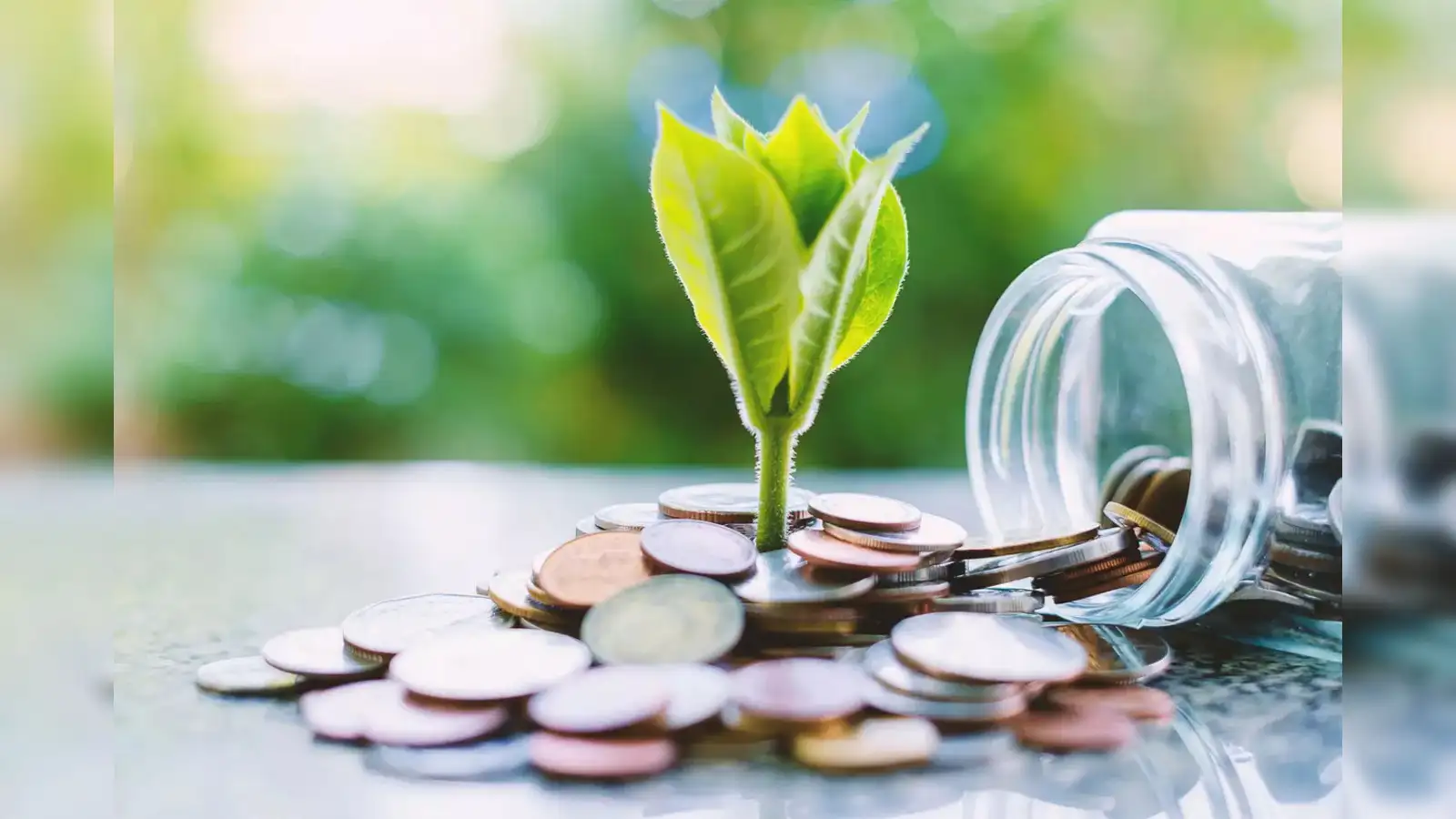 mutual fund portfolio: Do I need to change my mutual fund portfolio? - The  Economic Times