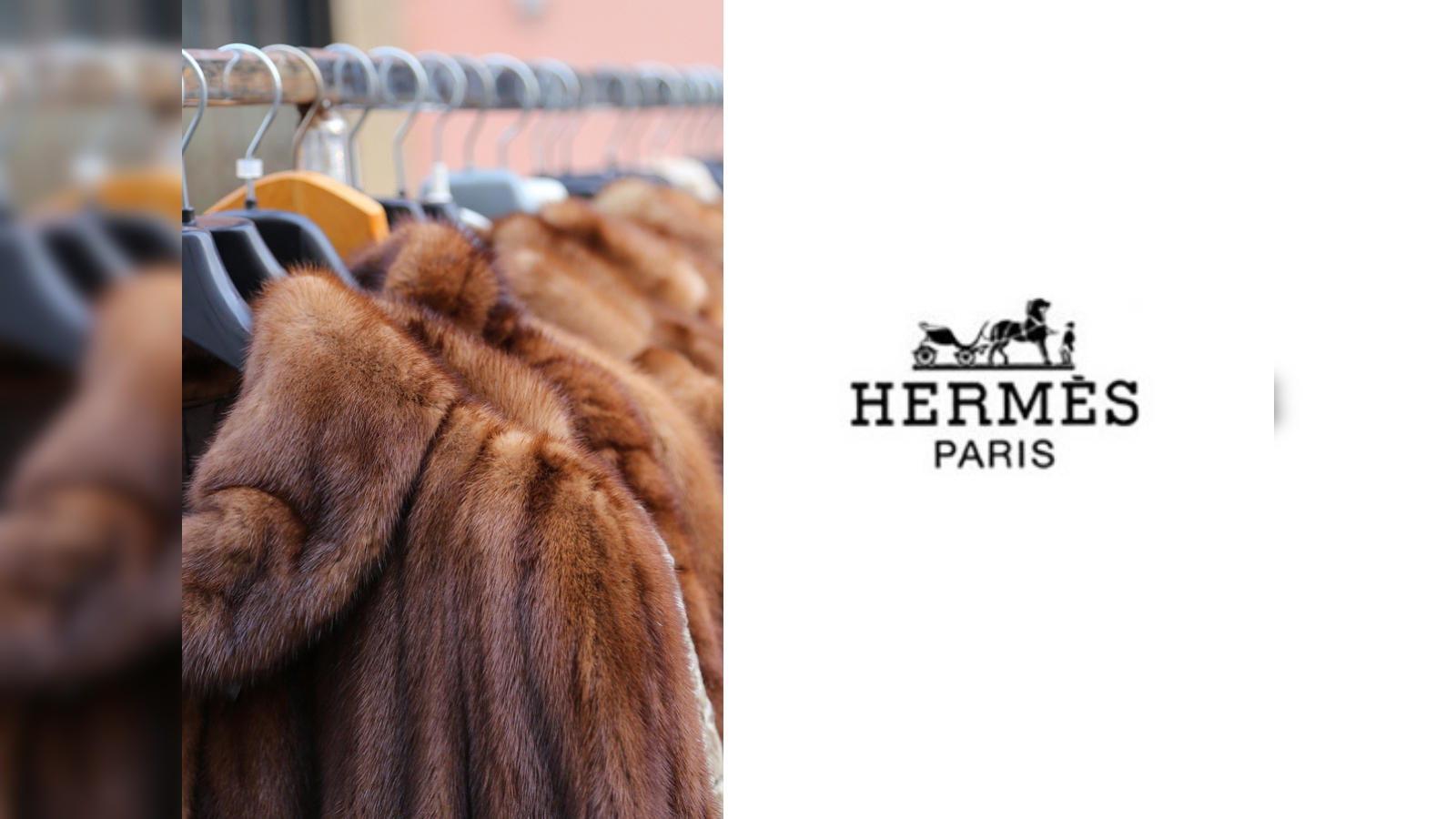 Hermès: Some high-profile heists: Fur coats worth $150,000, 14 Hermès bags  - The Economic Times