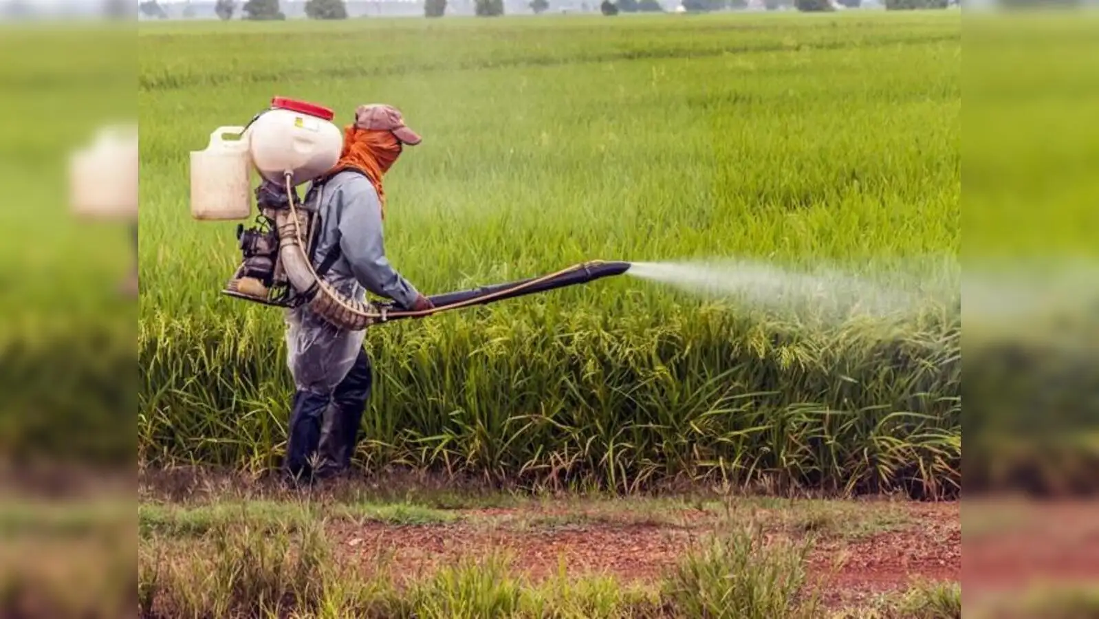 agritech: Chemical free farming to boost exports, AgriTech to help digital  ecosystem: Experts - The Economic Times
