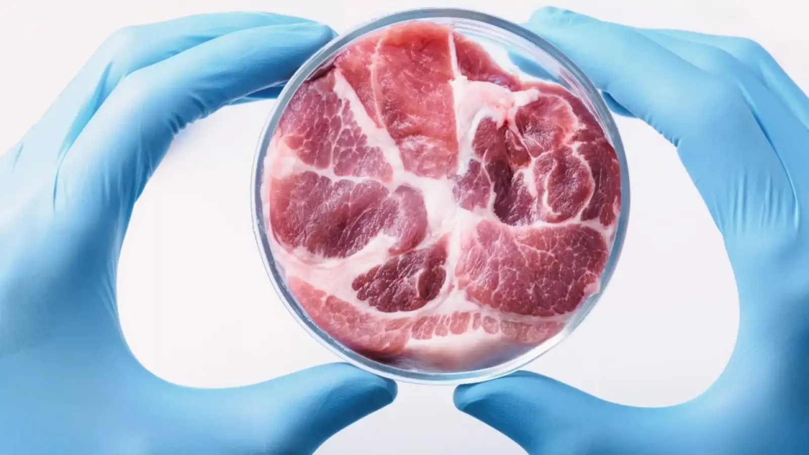 Here is why Italy has banned lab-grown meat - The Economic Times