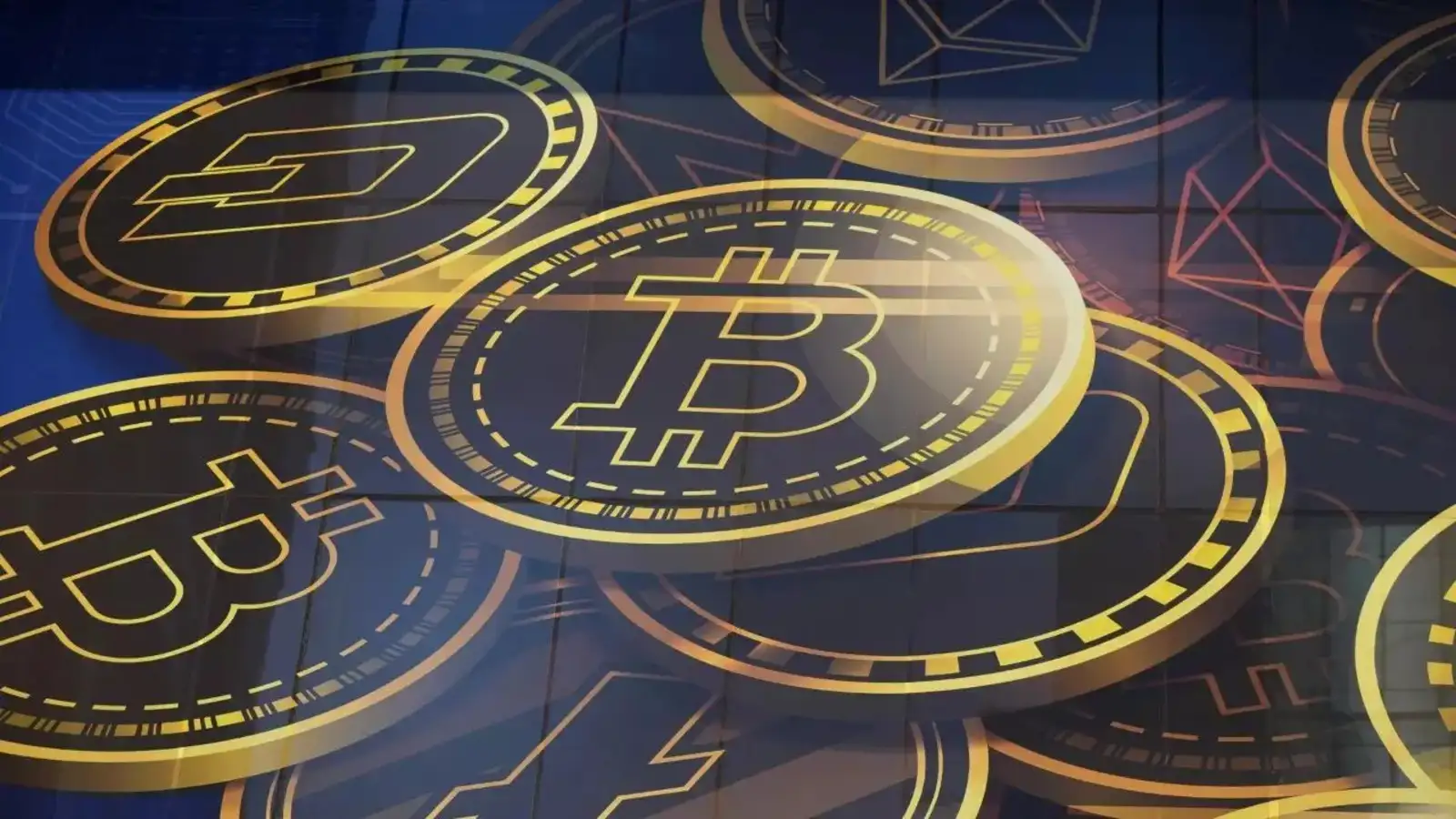 Crypto legend Roger Ver resurfaces? Dormant whale may have just moved $8.6  billion in Bitcoin after 14 years - The Economic Times