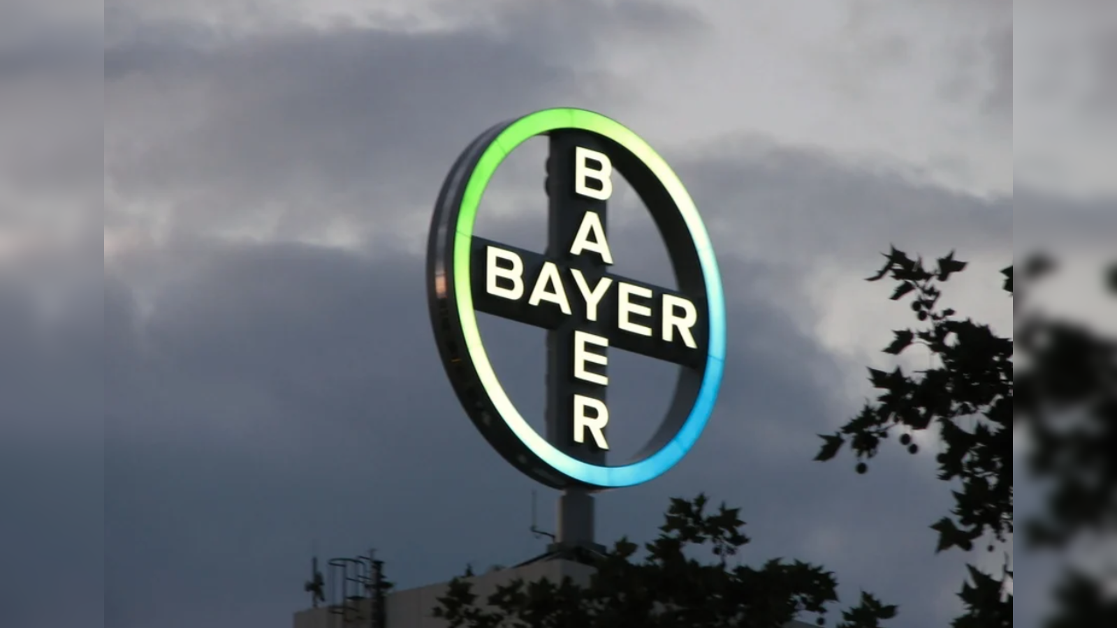Bayer Leaps Stair