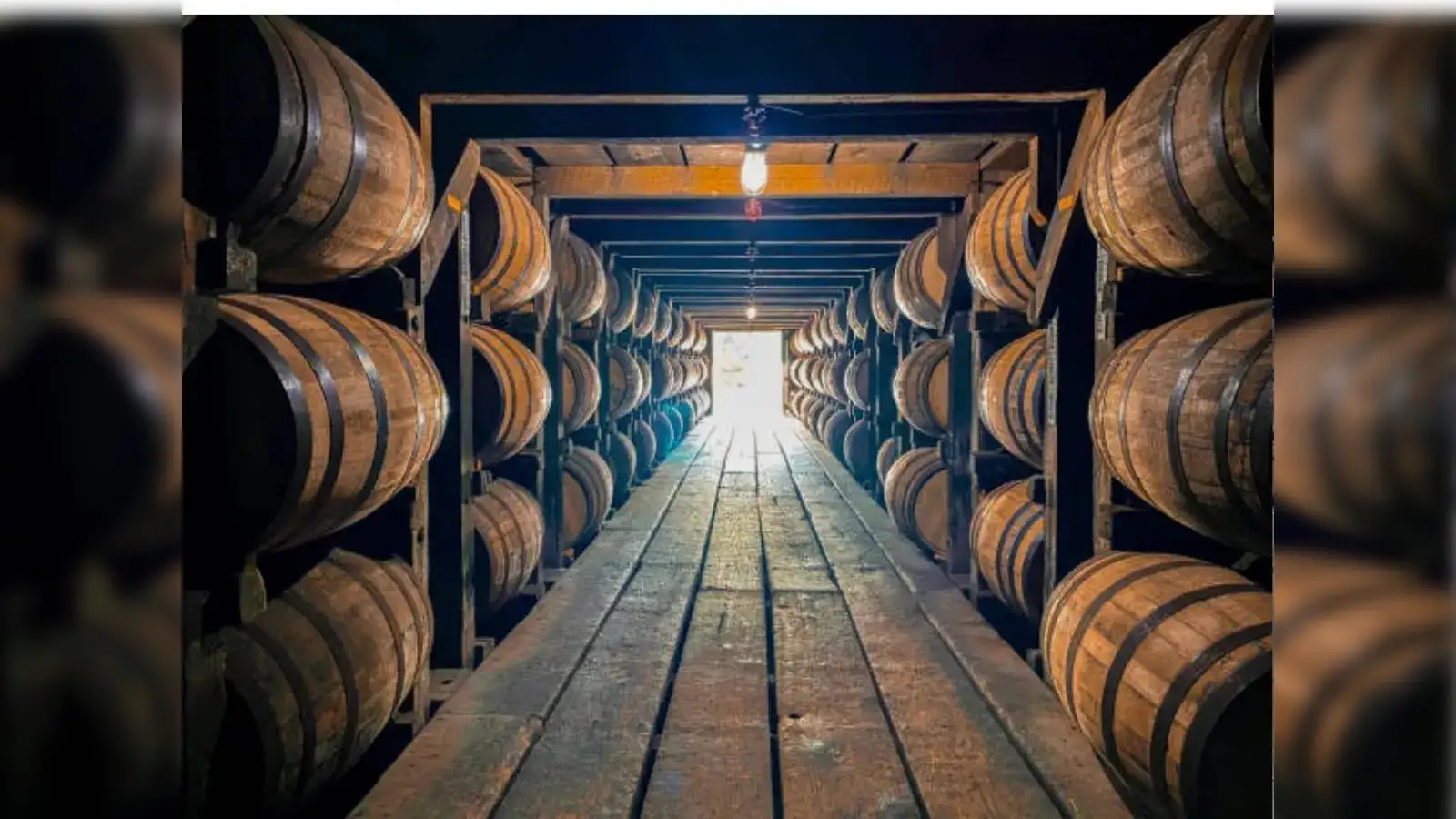 How wooden barrels shaped liquid history from oil to feni