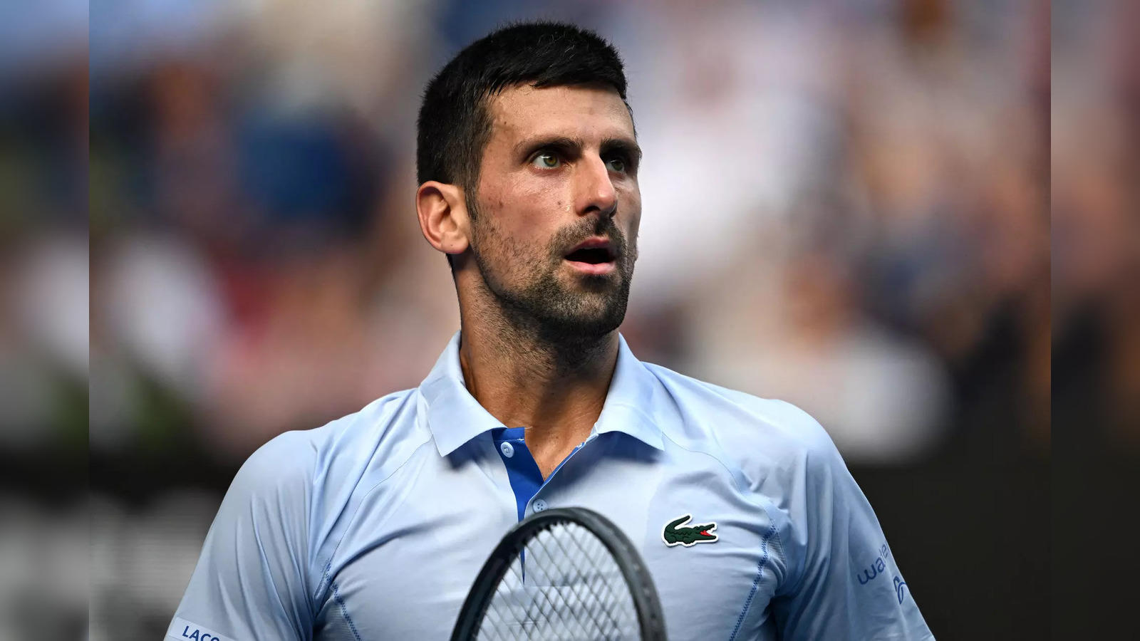 10-time champ Novak Djokovic beats Taylor Fritz, will play Jannik Sinner in Australian  Open semis - The Economic Times