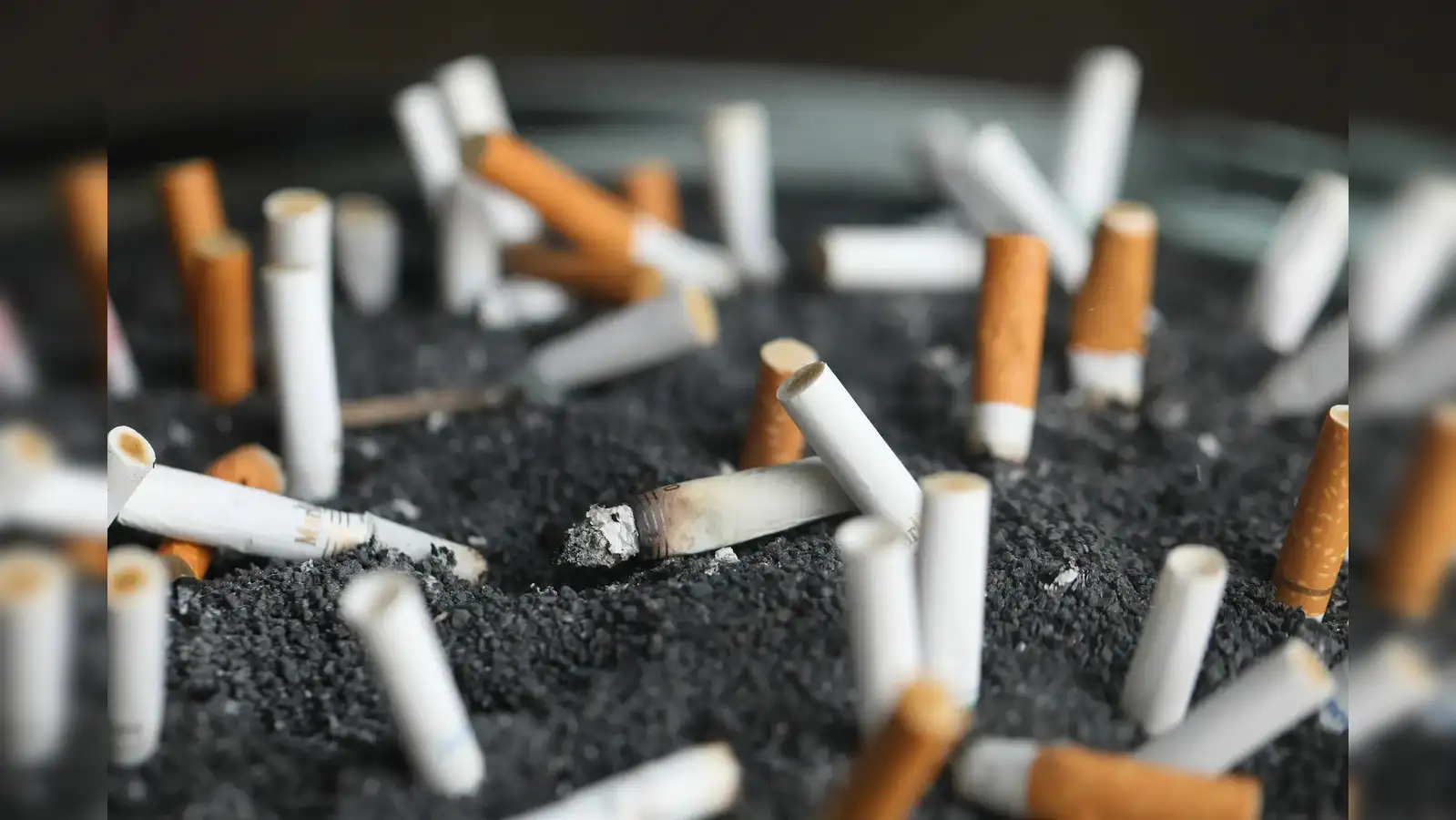 who in the royal family smoke cigarettes reddit Smokin' Hot Royals for Valentine's Day – Hopewell's Public Library of Life