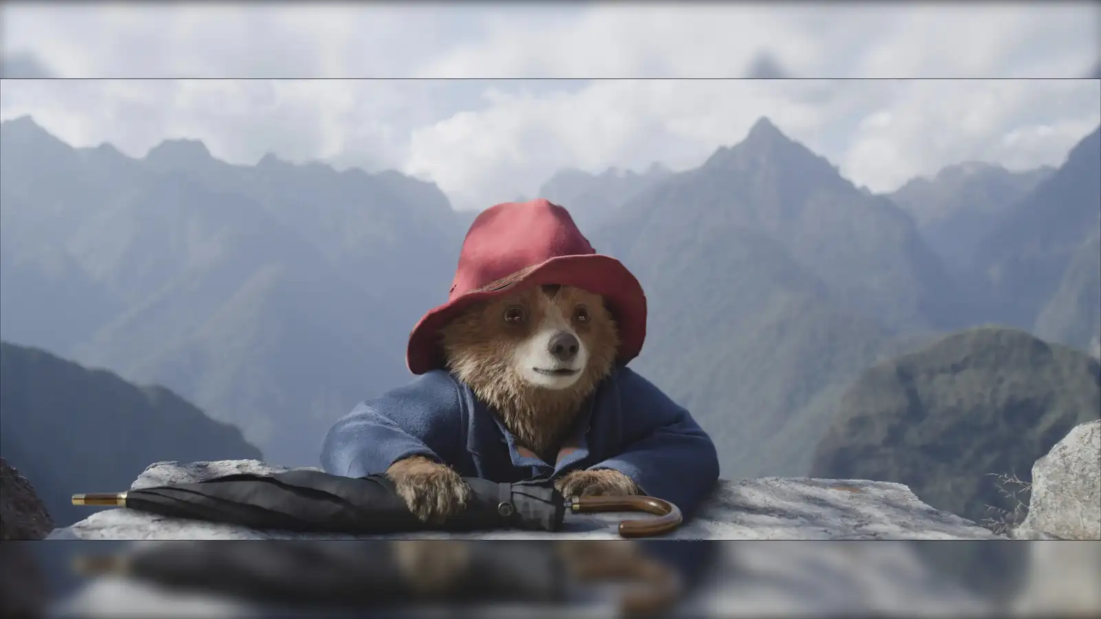 paddington movie streaming: Paddington in Peru: Heres what we know about  theatrical release date and streaming availability - The Economic Times
