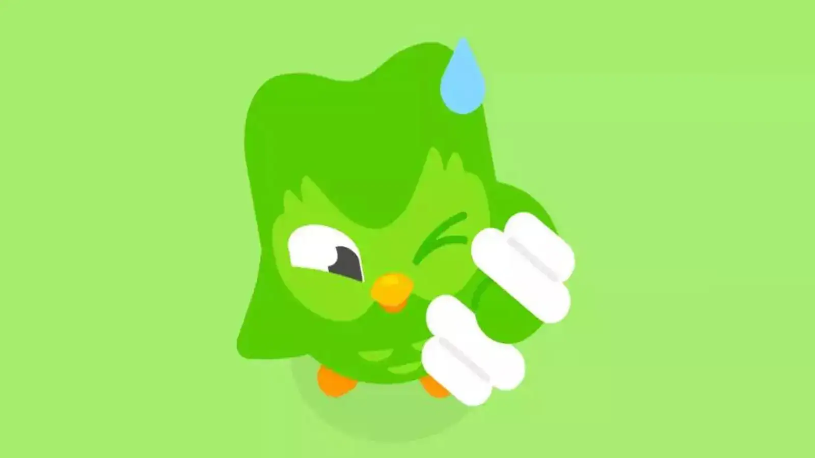 tiktok ban us: Duolingo sees 216% rise in new US users learning Mandarin.  Why are Americans learning Chinese? - The Economic Times