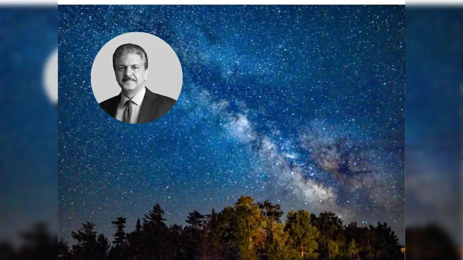 Lush forests, vibrant wildlife, Anand Mahindra is in awe of Tamil Nadu park where the night sky ‘reveals itself in full’