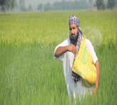 India’s food subsidy bill cut by 22%, fertiliser 31%