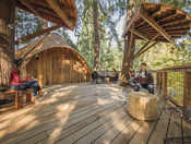 Microsoft's Tree House, Google's Nap Pods: Perks Offered By New-Age Cos To Break The Monotony