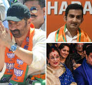 Poll-Pourri: Sunny Deol, Gambhir Make BJP Proud; Sorry Story For Mr & Mrs Sinha