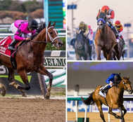 Raking In The Sweet Moolah: A Look At The World's Richest Horse Racing Events With Top Prize Pots